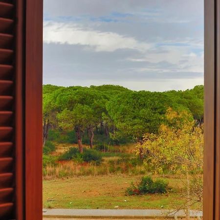 Precioso Apartamento A 700 M Del Mar Chiclana de la Frontera Zewnętrze zdjęcie