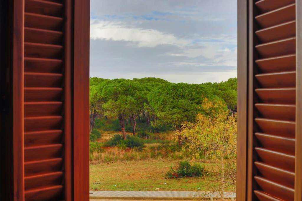 Precioso Apartamento A 700 M Del Mar Chiclana de la Frontera Zewnętrze zdjęcie